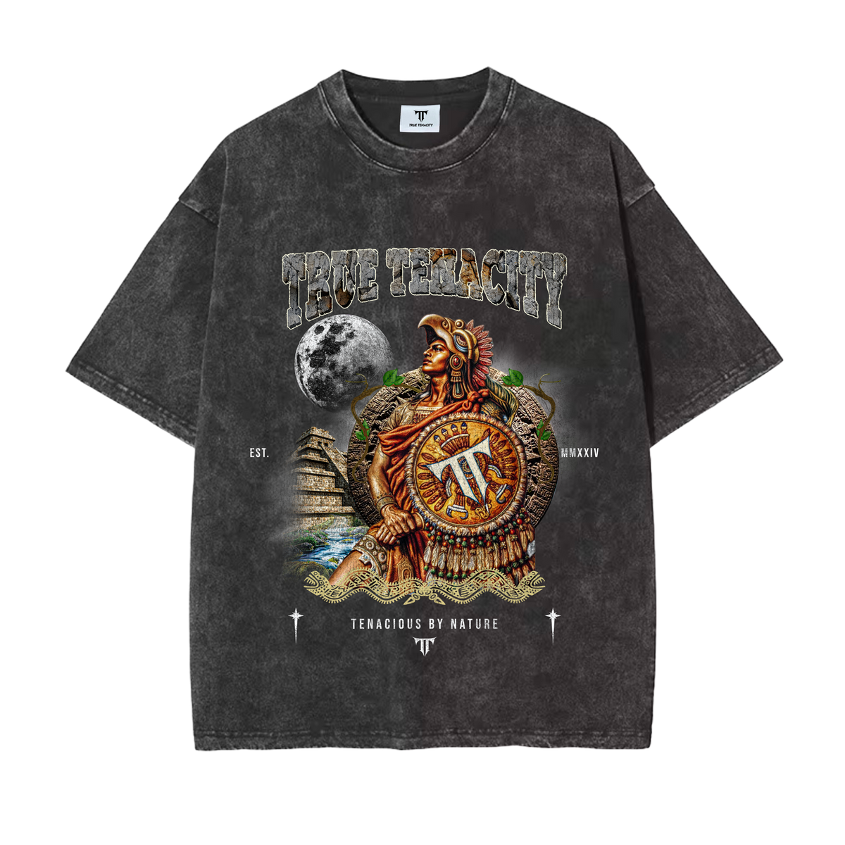 Aztec Warrior Graphic Tee Black